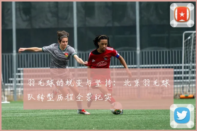 羽毛球的蜕变与坚持：北京羽毛球队转型历程全景纪实