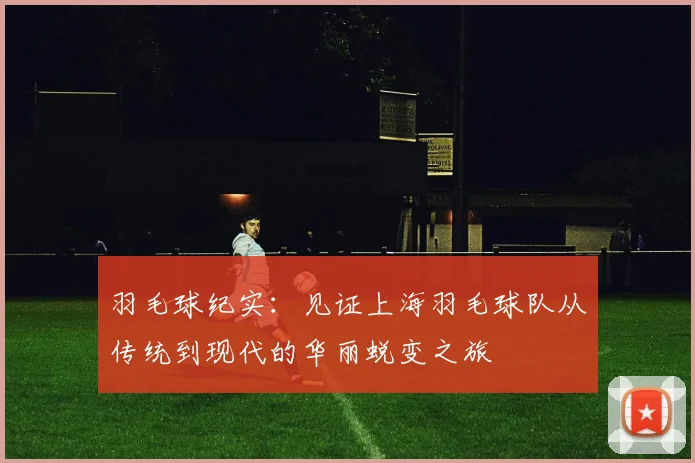 羽毛球纪实：见证上海羽毛球队从传统到现代的华丽蜕变之旅