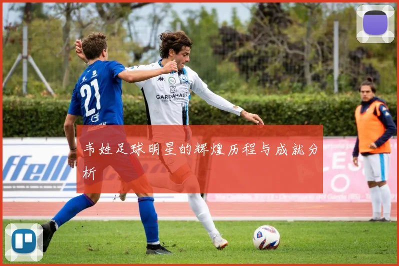 韦姓足球明星的辉煌历程与成就分析