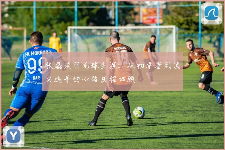 张磊谈羽毛球生涯：从初学者到顶尖选手的心路历程回顾