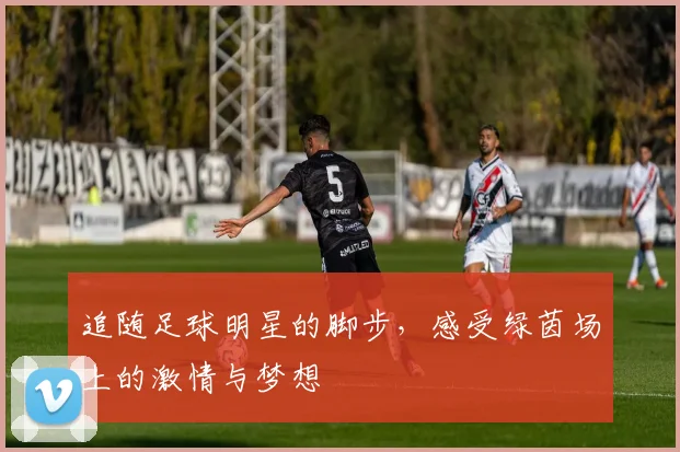 追随足球明星的脚步，感受绿茵场上的激情与梦想