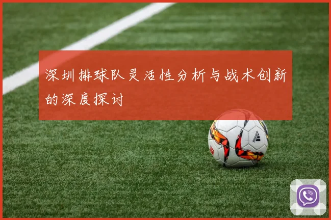 深圳排球队灵活性分析与战术创新的深度探讨