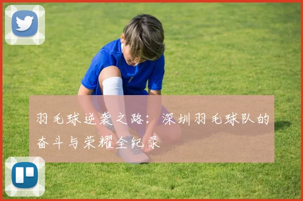 羽毛球逆袭之路：深圳羽毛球队的奋斗与荣耀全纪录