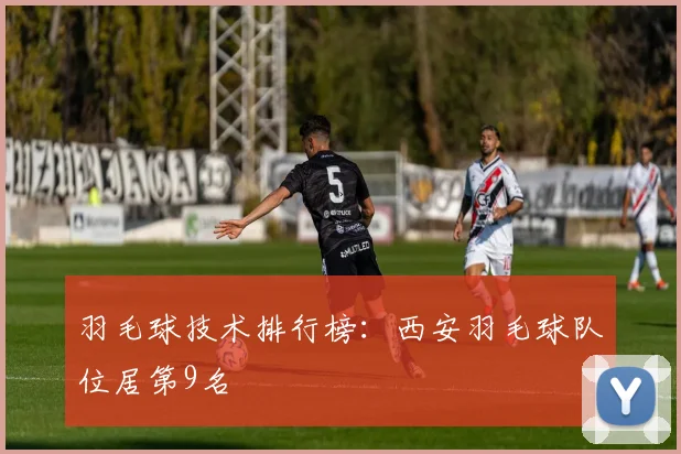 羽毛球技术排行榜：西安羽毛球队位居第9名