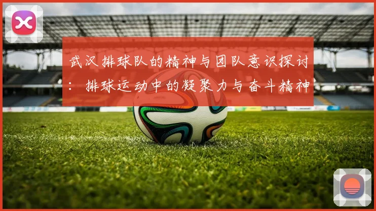 武汉排球队的精神与团队意识探讨：排球运动中的凝聚力与奋斗精神