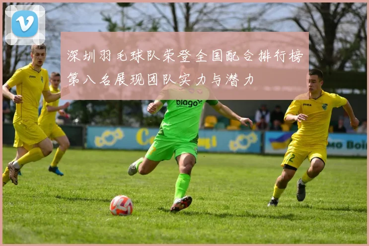 深圳羽毛球队荣登全国配合排行榜第八名展现团队实力与潜力