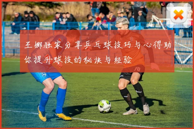 王娜独家分享乒乓球技巧与心得助你提升球技的秘诀与经验