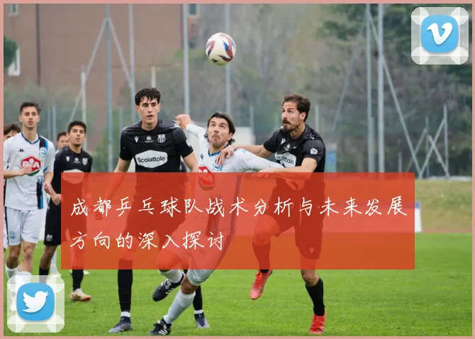 成都乒乓球队战术分析与未来发展方向的深入探讨