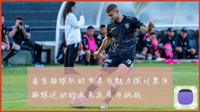 南京排球队的节奏与魅力探讨聚焦排球运动的未来发展与挑战
