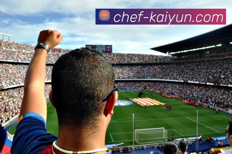 多媒体互动体验